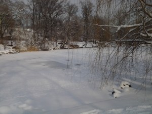 Hielo Grueso! (photo taken 02 2014)