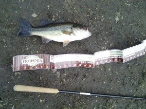 Tenkara can (sometimes) tackle big bass. (photo taken 03 13 2014)