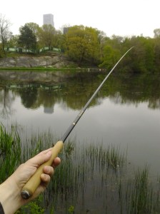 Tenkara fishing along a pond edge. (photo taken 05 08 2014)