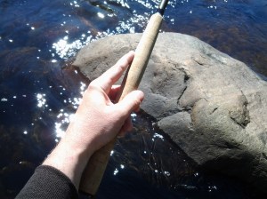 Bright Grip on the Hudson (photo taken 06 22 2014)