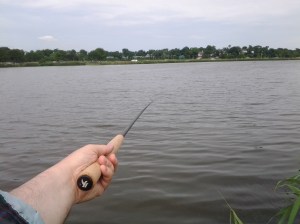 Nimbus Grip at Meadow Lake (photo taken 06 11 2014)