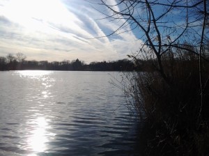 Prospect Park Lake Brooklyn, 12 29 2014