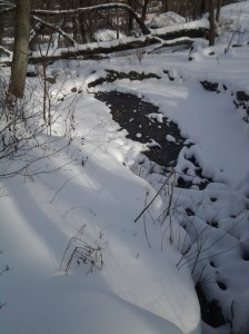 Beside the Book (The Tufted Titmouse Sips) 01 2015