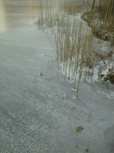 Thin Ice in Manhattan (January 07, 2015)