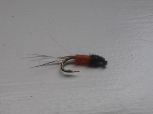 Swegman's October Caddis Nymph (tied 02 06 2015)