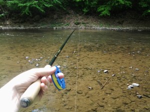 Pointing In The Trout's Direction: Ebisu, Line Holder, Traditional Tapered Line (05 2015)