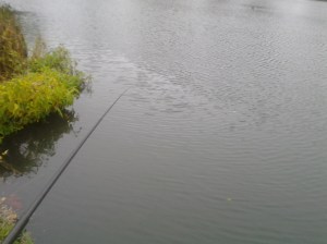 Reflecting November Rain (NYC 11 2015)