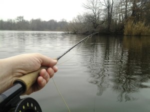 What's This!?! Conventional 5-weight for comparative fly fishing. (12 30 2015)