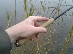 Ebisu in the Winter Reeds (12 30 2015)