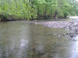 Tenkara Reigns Here (05 2016)