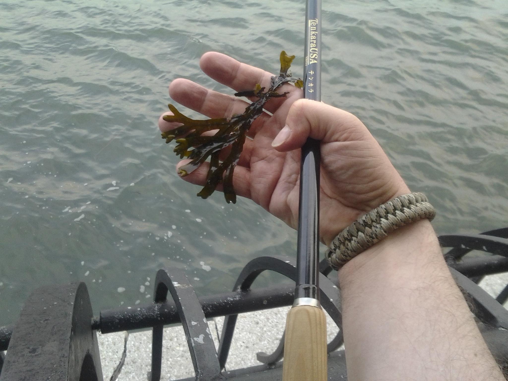 Vegetarian Tenkara 07 2016