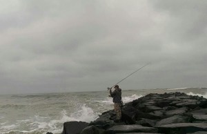 Jetty Knight by Maryann Amici (12 2016)