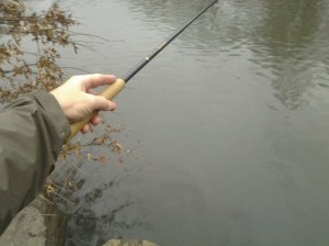 Nymphing with Ebisu in January (NYC 01 2017)